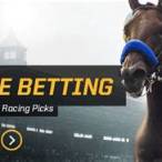 bet horses online